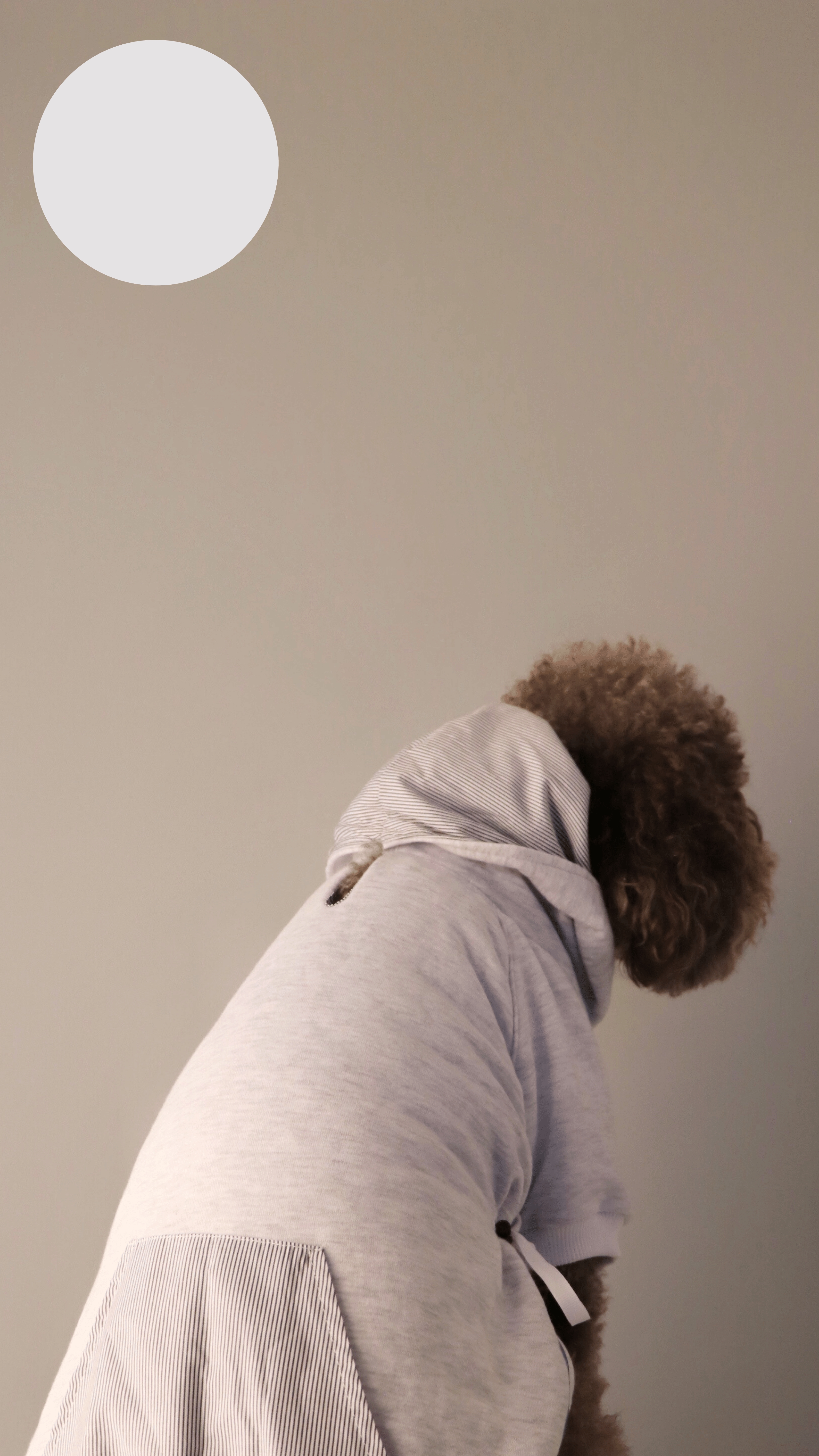 GREYBLACK HOODIE